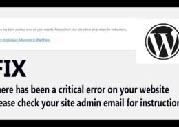 How to Identify Critical WordPress Error.
